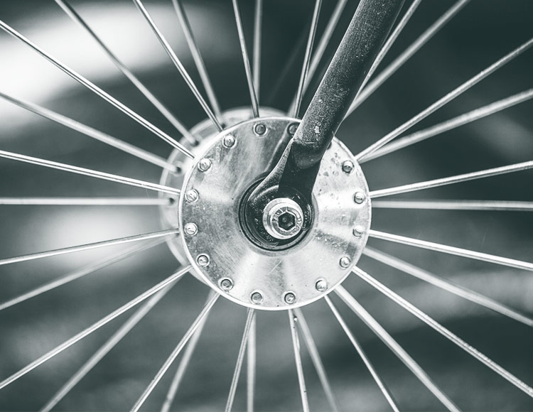 home_bikerental_gallery1 home_bikerental_gallery1